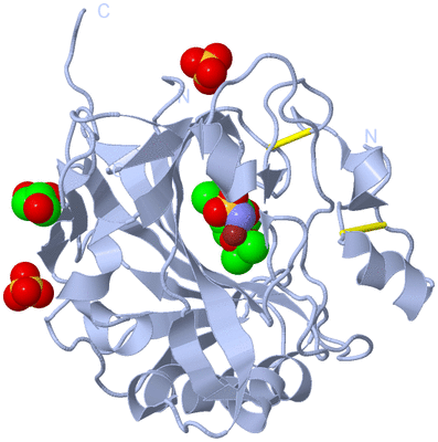 Image Biological Unit 1