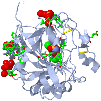 Image Biol. Unit 1 - sites