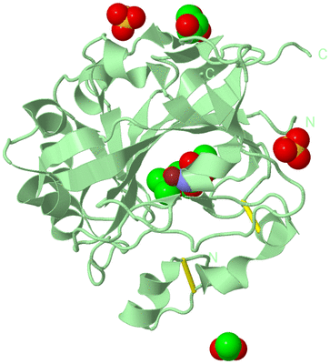 Image Biological Unit 2