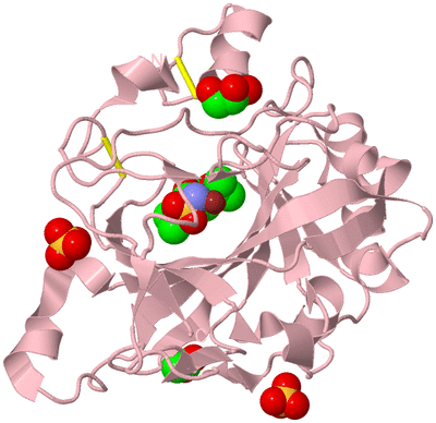 Image Biological Unit 3