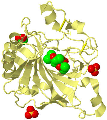 Image Biological Unit 4