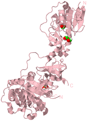 Image Biological Unit 1