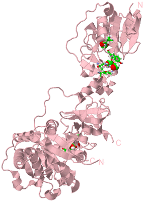 Image Biol. Unit 1 - sites