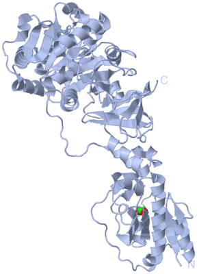 Image Biological Unit 2