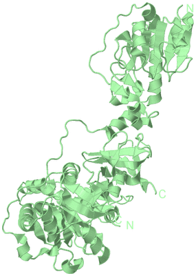 Image Biological Unit 3