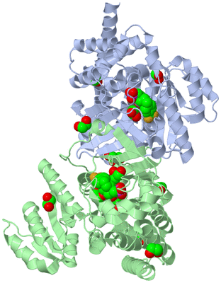 Image Asym./Biol. Unit