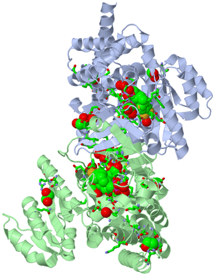 Image Asym./Biol. Unit - sites