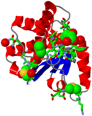 Image Asym./Biol. Unit - sites