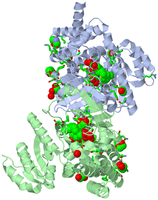 Image Asym./Biol. Unit - sites