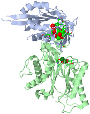 Image Asym./Biol. Unit - sites