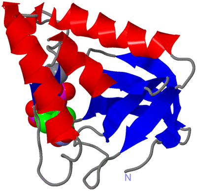 Image Asym./Biol. Unit