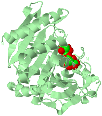 Image Biological Unit 2