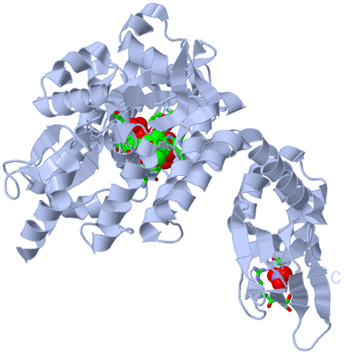 Image Biol. Unit 1 - sites