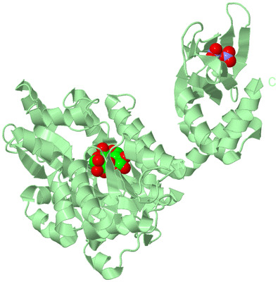 Image Biological Unit 2