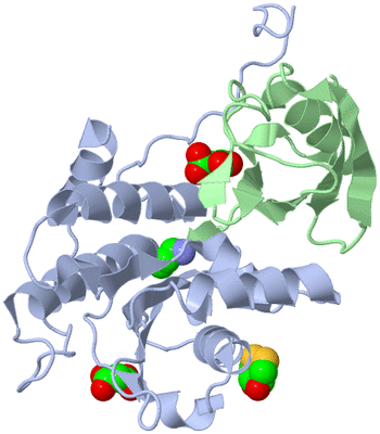 Image Asym./Biol. Unit