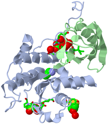 Image Asym./Biol. Unit - sites