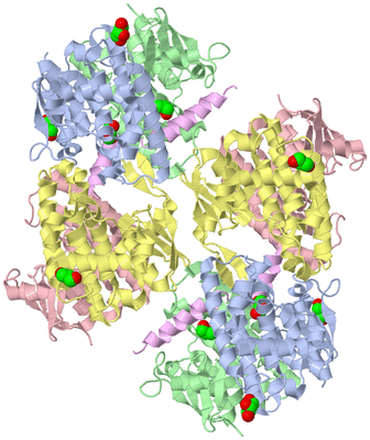 Image Biological Unit 1