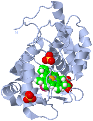 Image Biological Unit 1