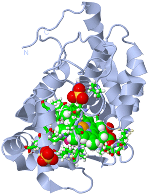 Image Biol. Unit 1 - sites