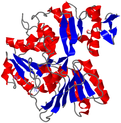 Image Asym./Biol. Unit