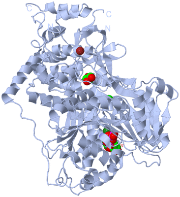 Image Biological Unit 1