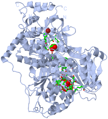 Image Biol. Unit 1 - sites