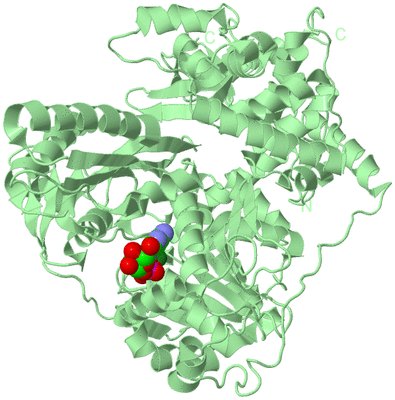 Image Biological Unit 2