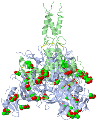 Image Biological Unit 1