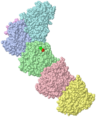 Image Asym./Biol. Unit