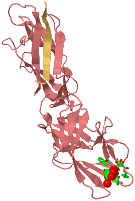 Image Biol. Unit 1 - sites