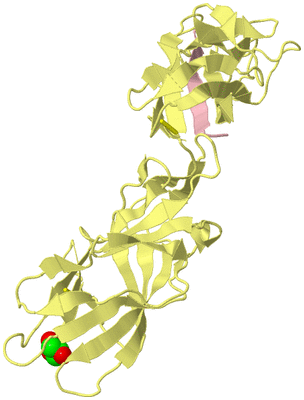 Image Biological Unit 3