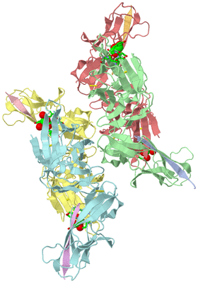 Image Asym. Unit - sites