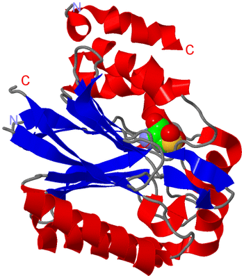 Image Asymmetric Unit