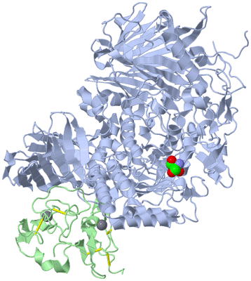 Image Asym./Biol. Unit