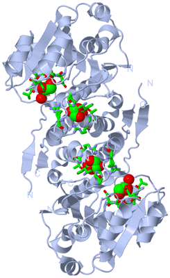 Image Biol. Unit 1 - sites