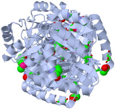 Image Biol. Unit 1 - sites