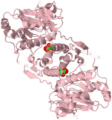 Image Biological Unit 2