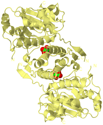 Image Biological Unit 3