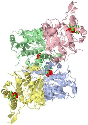 Image Asym. Unit - sites