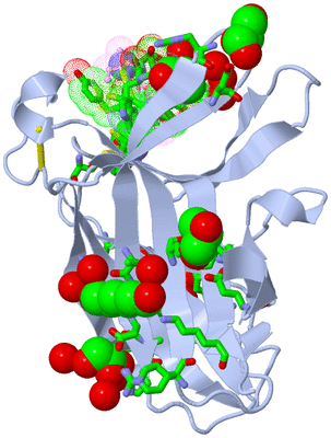 Image Biol. Unit 1 - sites