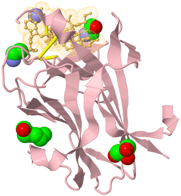 Image Biological Unit 3