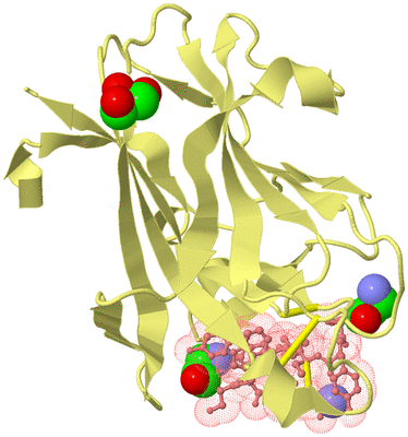 Image Biological Unit 4