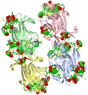 Image Asym. Unit - sites