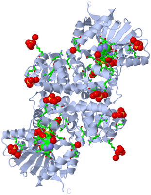 Image Biol. Unit 1 - sites