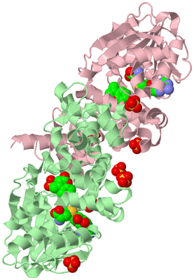 Image Biological Unit 2