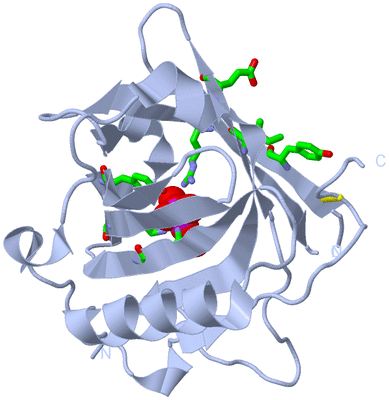 Image Biol. Unit 1 - sites