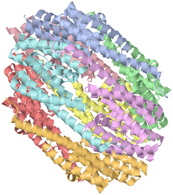 Image Asym./Biol. Unit