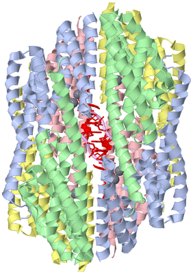 Image Biological Unit 1