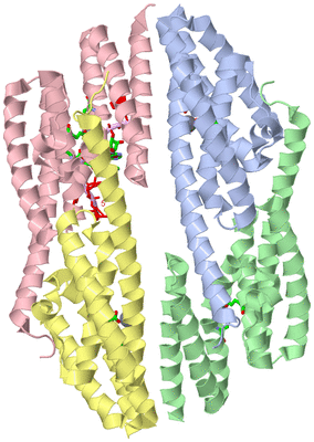 Image Asym. Unit - sites