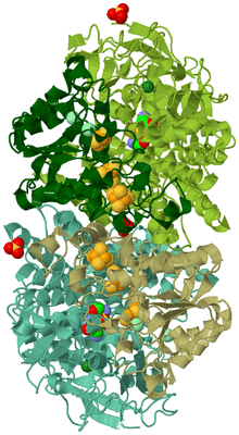 Image Asym./Biol. Unit